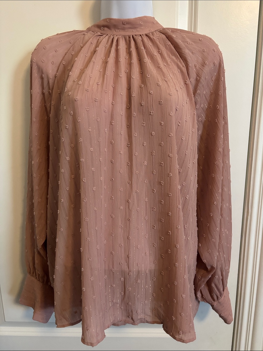 Zara Soft Rose Swiss Dot Long-Sleeve Blouse XL